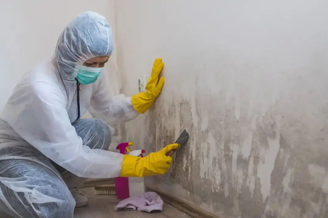 water damage restoration service Madison Mills